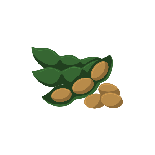 Soybean spot